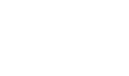 Car Butlers